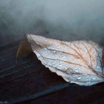 熊猫娱乐appapp下载